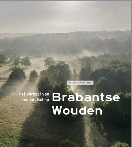 Brabantse wouden